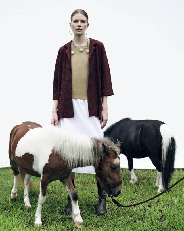 超罕见迷你矮脚马闪现ION!软萌可爱助力公益活动,赶紧来与小马合影打卡吧