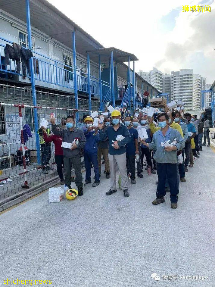 来新加坡后不幸染冠病,孕妇、客工直播间求助