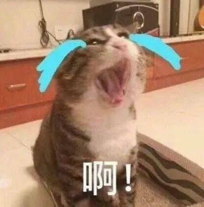 全岛包邮！从新加坡回国，带这些给亲朋好友特有面子