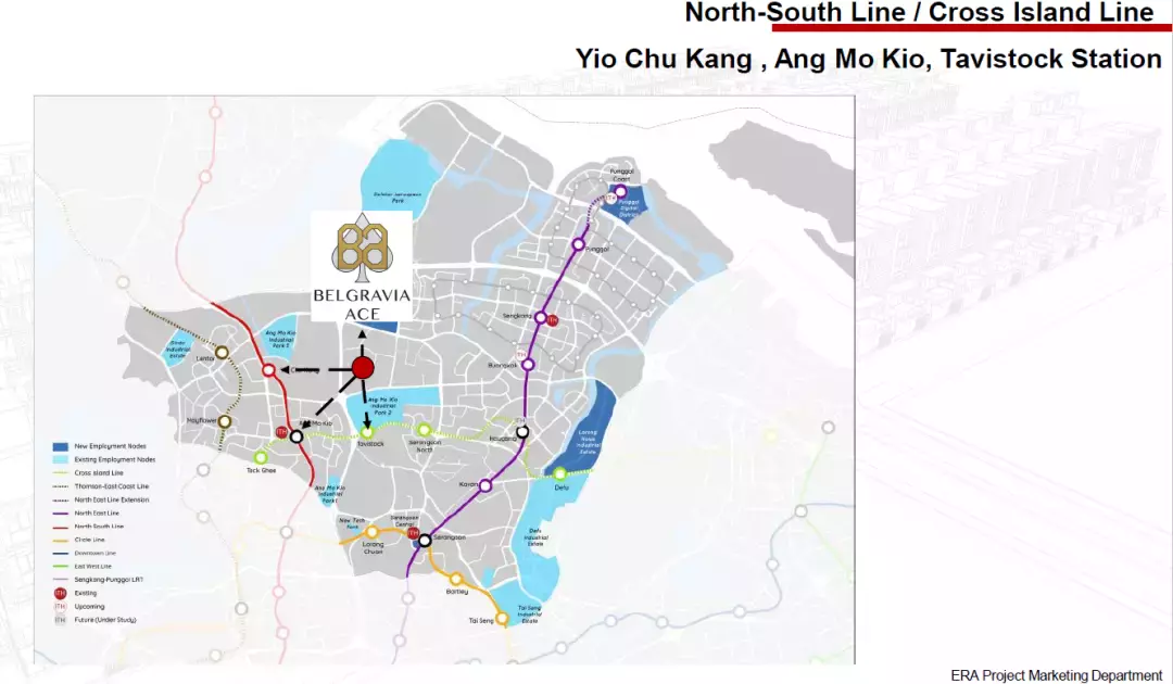Belgravia Ace 王牌洋房別墅[優質罕見 永久地契 享公寓設施】
