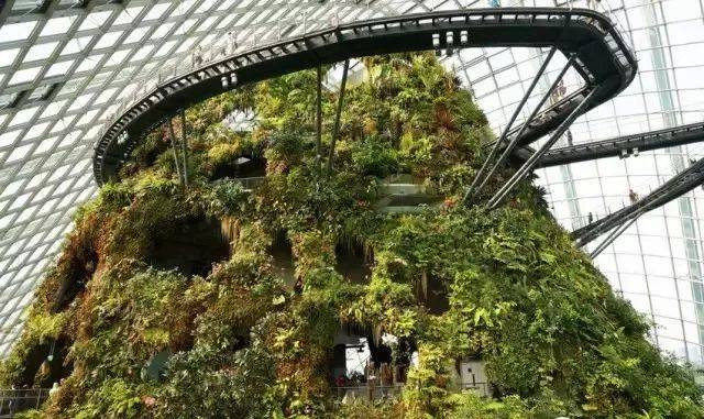 新加坡樟宜機場全方位解讀