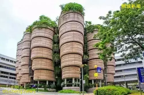 新加坡南洋理工大学国立教育学院调查：结合无缝自主学习｜新试验教学模式可创造说写华文机会