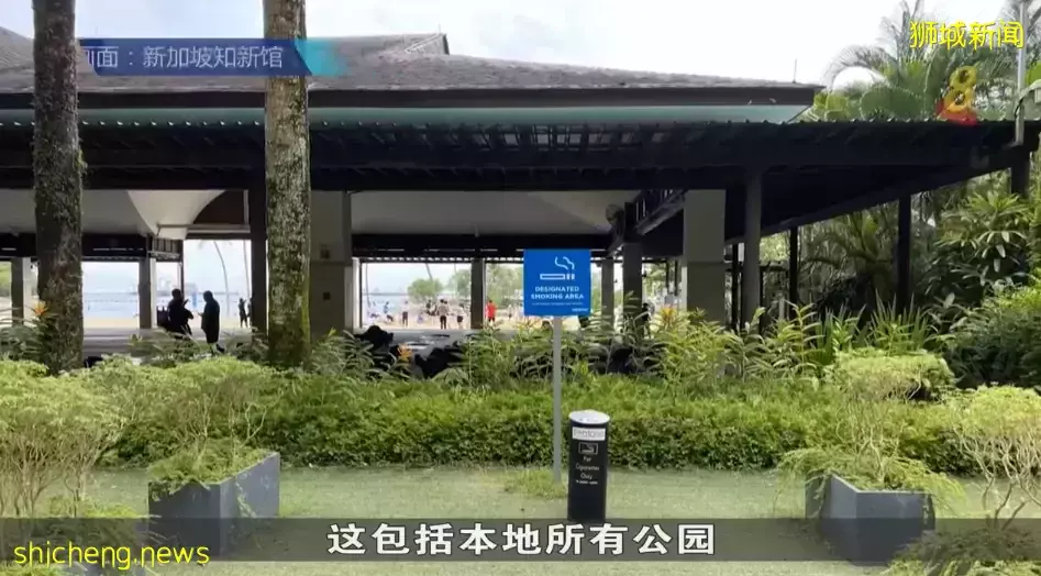 今起，新加坡可挂国旗迎国庆；全岛多地实行禁烟；残障者提高津贴；免费派发检测仪