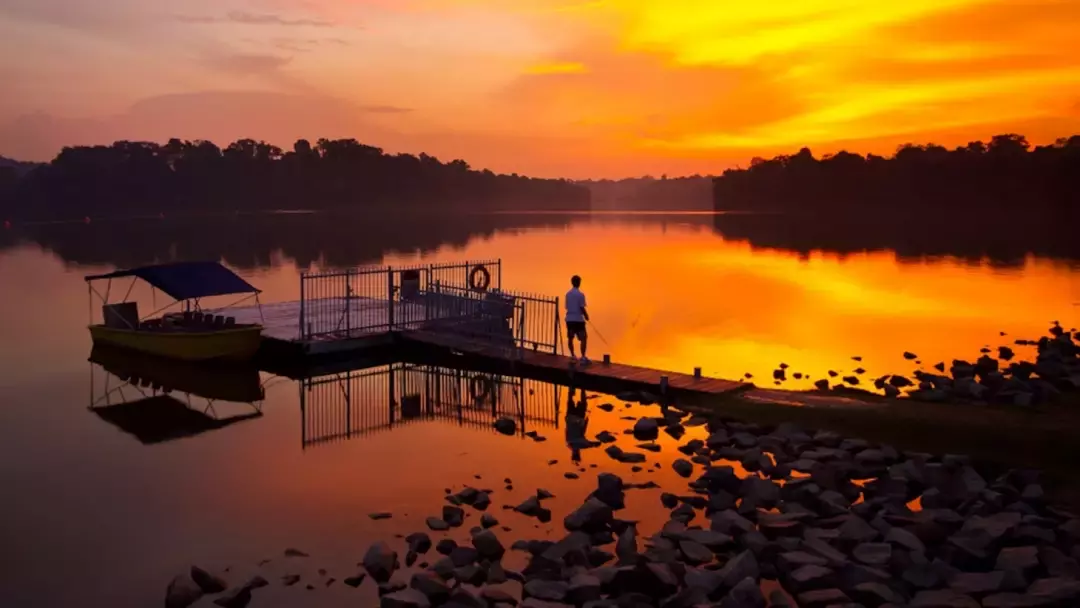 新加坡批准《区域全面经济伙伴关系协定》