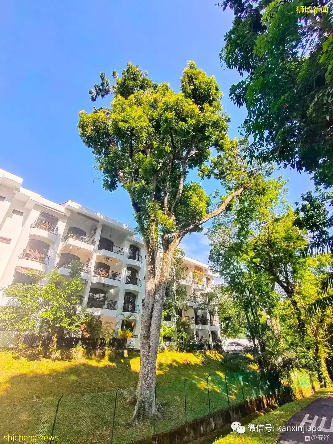 新加坡的这里如此浪漫又闲暇,在这工作就如度假