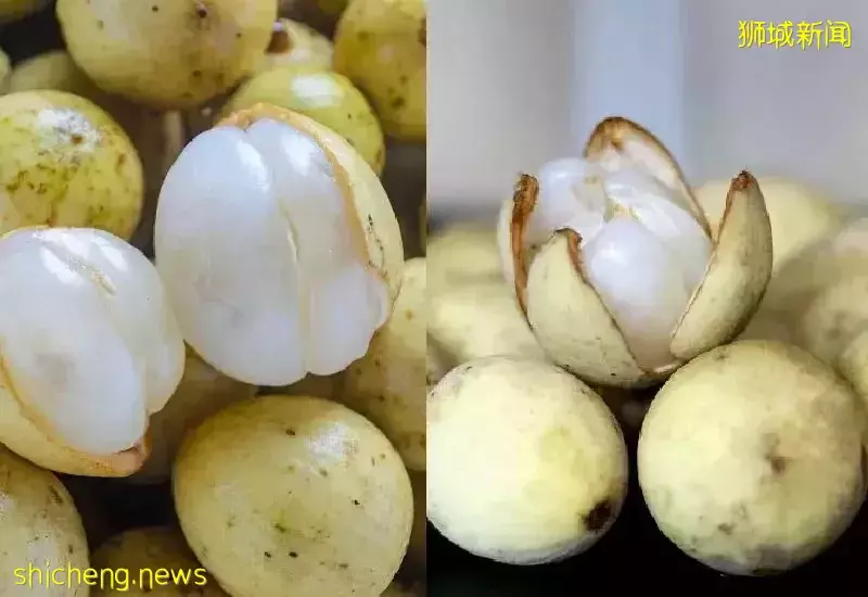 为什么同样的水果摊，你妈买的香甜可口，你买的像得罪了摊主