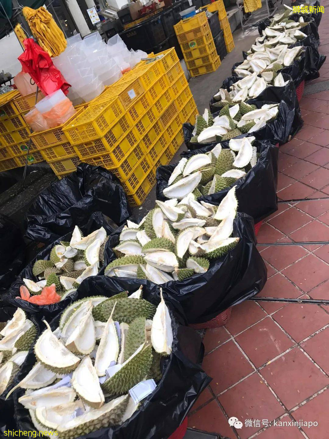 壮观~新加坡榴梿季大排长龙,猫山王5新币一公斤