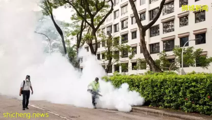 即日起回国入境再放宽,取消这两项检测!网友:新加坡太毒了,我要回家