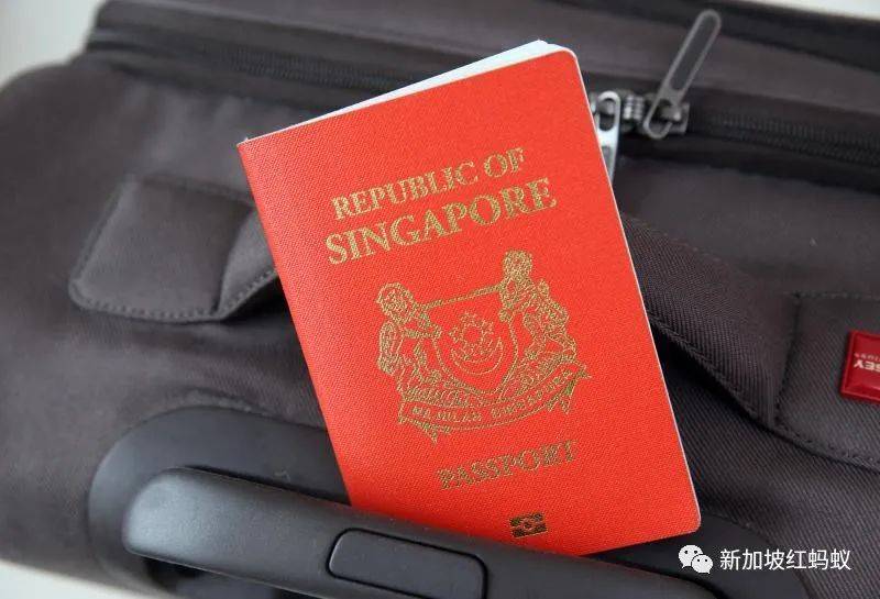 超支172萬新元?非法分租? 最新總審計署報告揭露哪些新加坡政府機構的纰漏