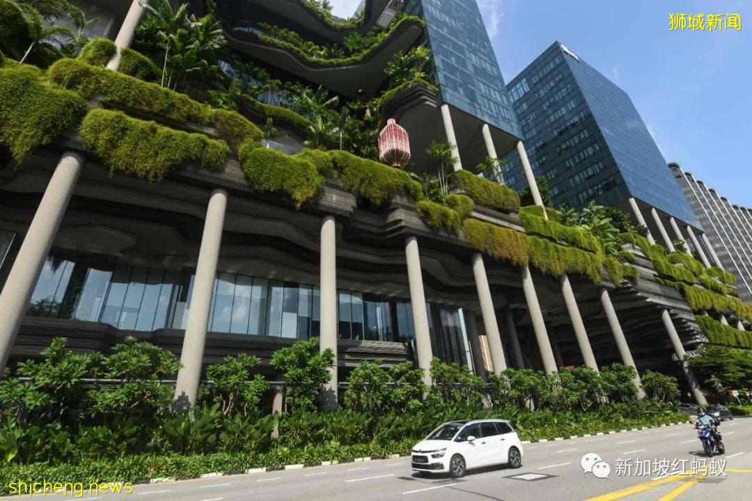 新加坡氣溫70年來升高1.8攝氏度　未來熱浪、強降雨和洪水將惡化