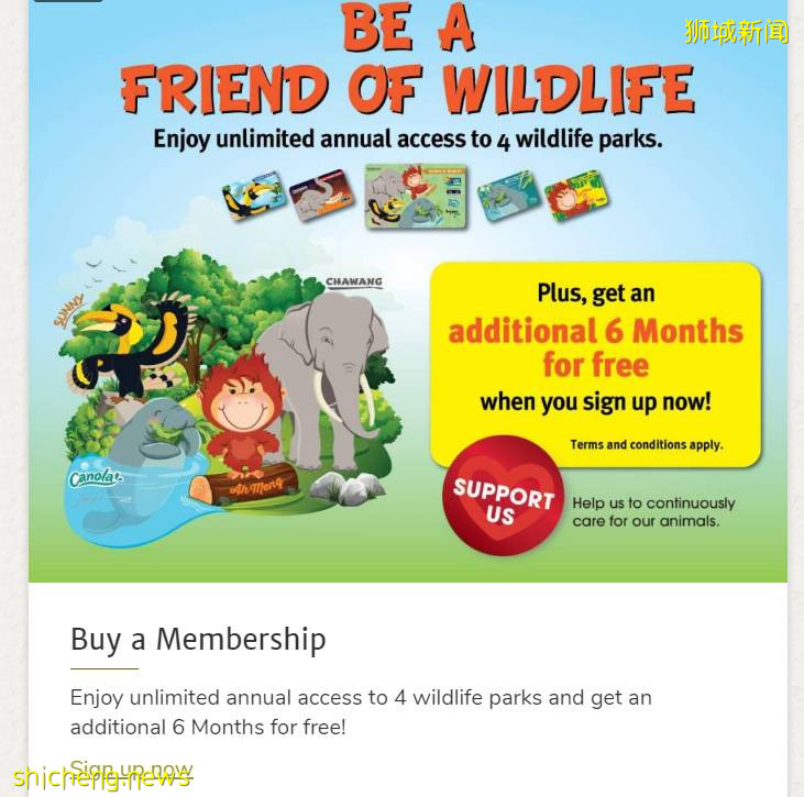 號外!新加坡可以認養企鵝、猩猩、樹懶,能帶回家嗎!