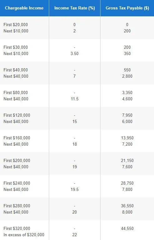 收藏向！最全新加坡個人所得稅減免申報攻略
