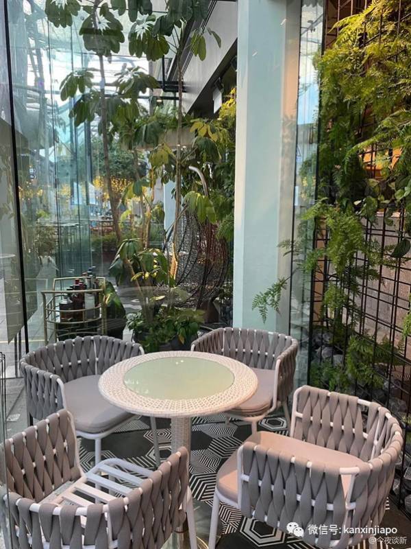 新加坡隐秘的角落，这些咖啡厅分分钟拍出ins大片水平