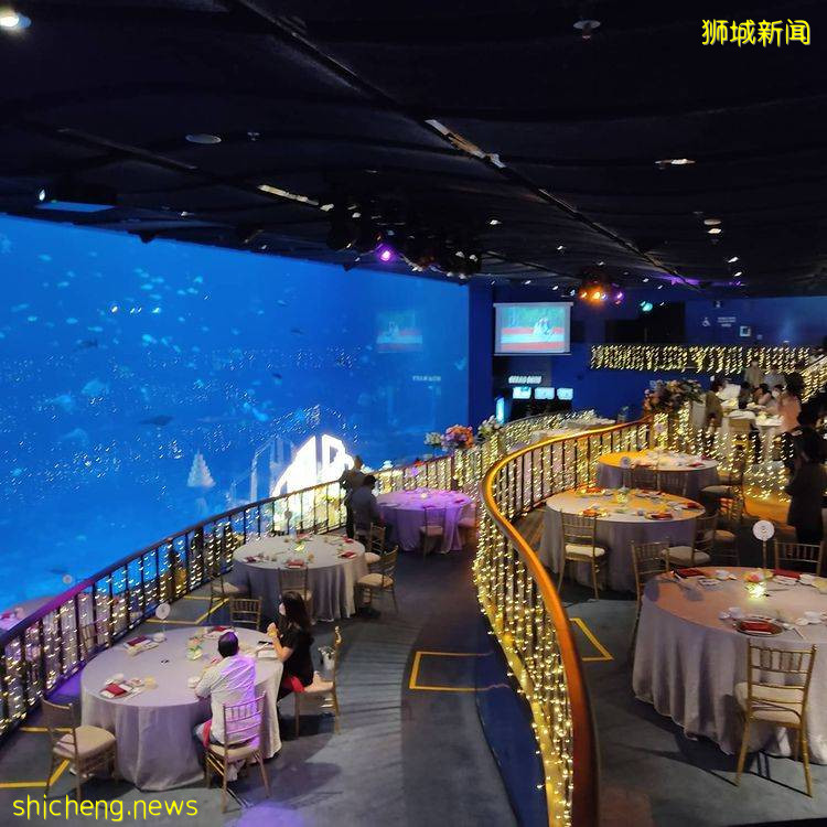 一起去圣淘沙海底喝下午茶, 现在只要 $58+ 还包括6种甜点 