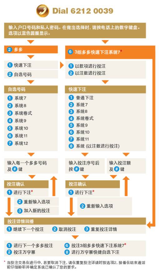 新加坡多多如何玩