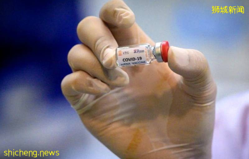 新加坡9月起文莱、新西兰入境可不隔离~两大群体将优先注射新冠疫苗