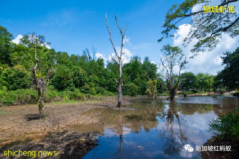 新加坡这些别有洞天的小众景点 稍不留神就会错过