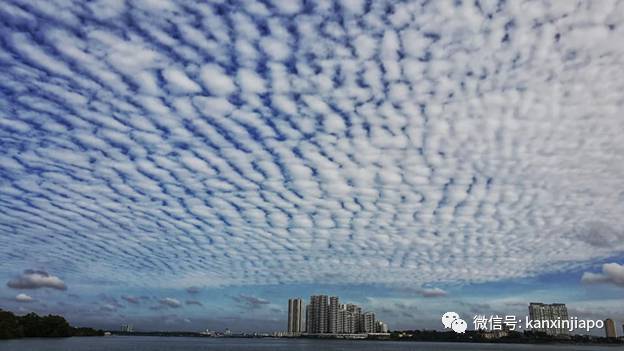 “地震雲”昨早刷爆朋友圈！很少看過這麽“怪異”的朝陽