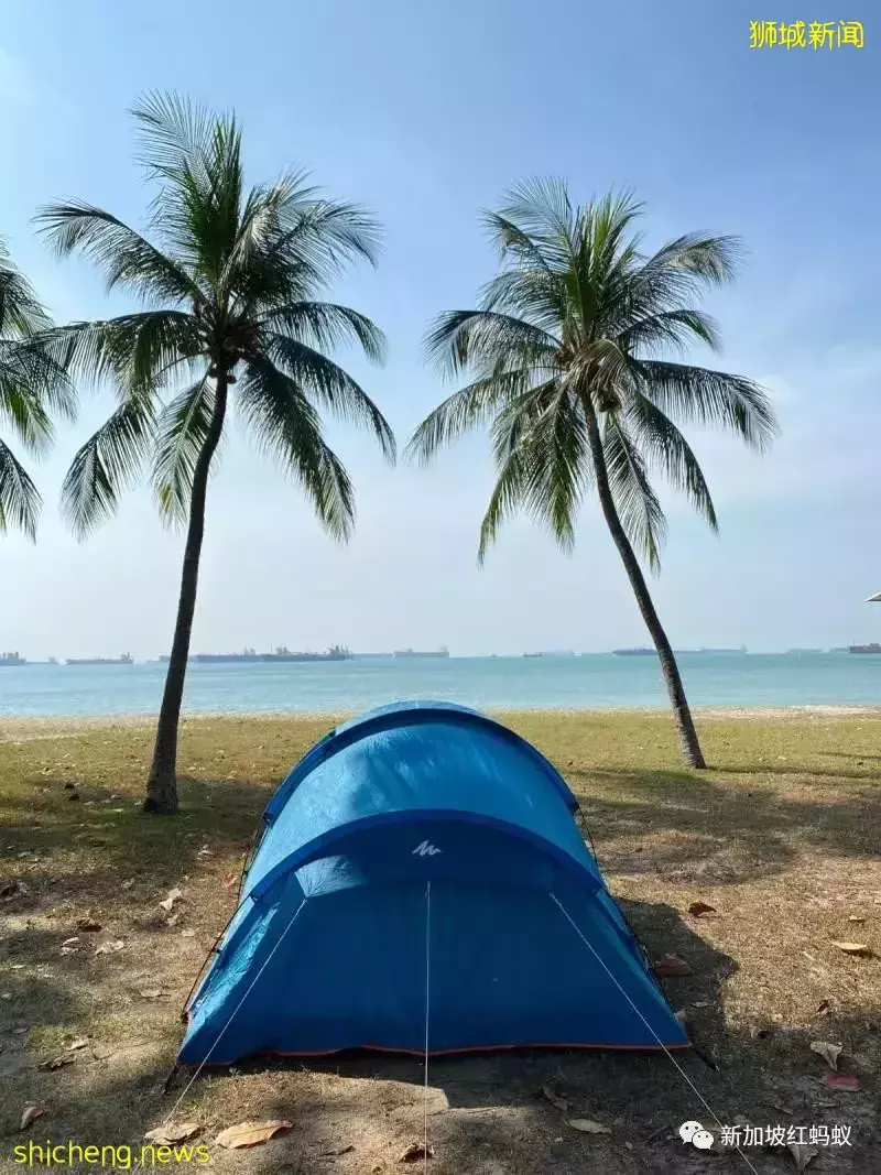 野奢式露營在新加坡日益受歡迎　相關産品越變越時尚好看便利