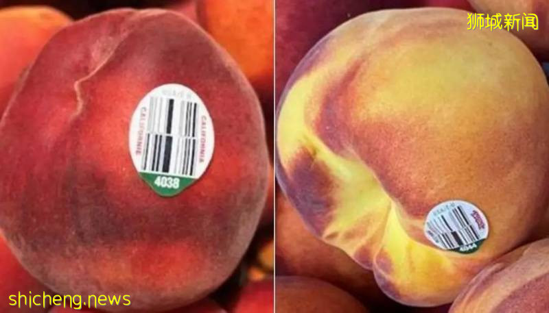 不要食用!这批进口桃子可能被细菌感染,新加坡知名超市均有销售