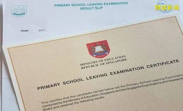 新加坡留學幹貨|新加坡升學途徑全方位解讀——小學、初中、高中