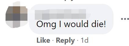 突發！這個海灘驚現一群巨型椰子蟹，還搶燒烤吃！新加坡也被鳄魚、蜥蜴、蟒蛇、水獺、猴子、野豬、野雞嚇到過