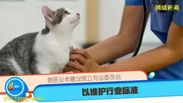 兽医业者建议成立专业委员会 以维护行业标准