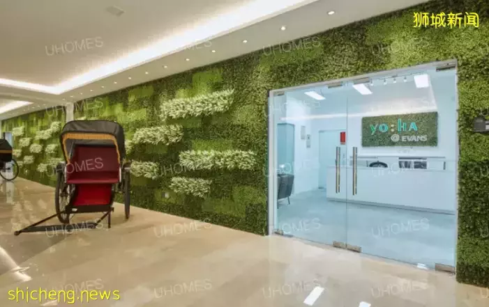 为什么选择去新加坡留学？这里有你的答案嘛