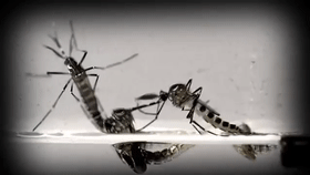 新加坡又爆发一疫情!部长说处于紧急阶段!孕妇染病进了ICU,直呼太可怕