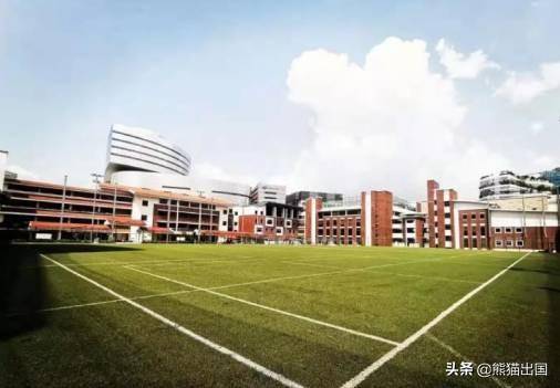 在基础教育全球领先的新加坡留学，是一种什么样的体验