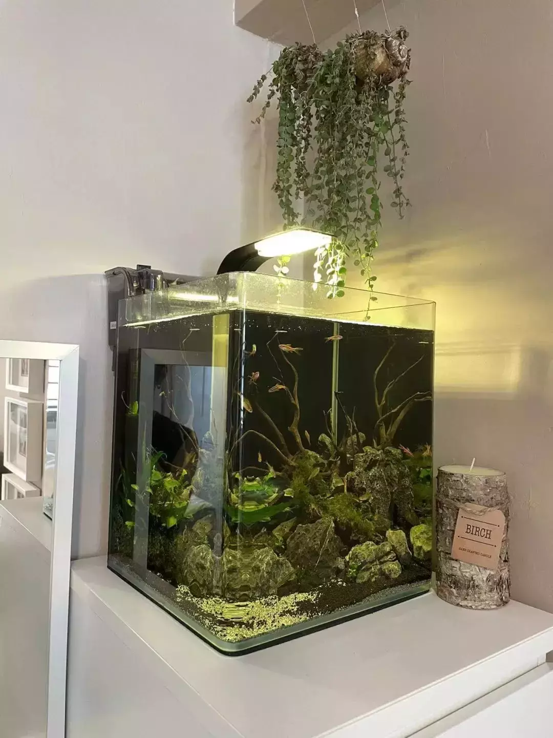 新加坡小夫妻最強出租房改造!變身ins風小家,猜猜花了多少錢