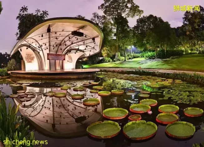 我勸你,千萬別來新加坡