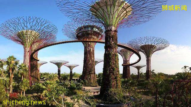 新加坡頂級設計，都在這裏