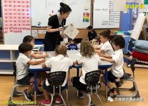 了解新加坡公立/私立/國際學校、理工/藝術/教育模式