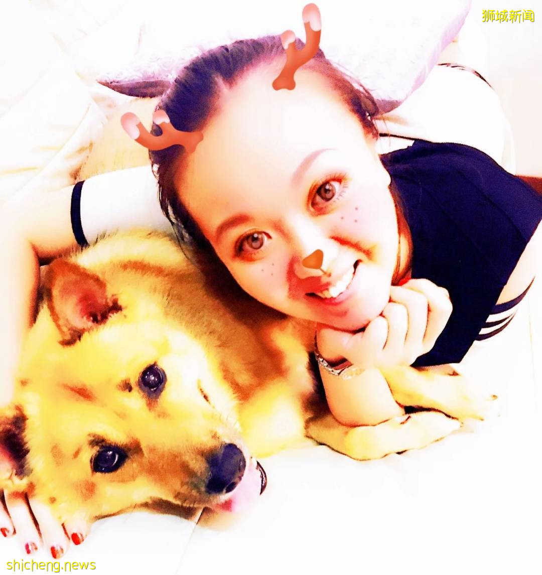 “我最亲爱的四喜走了,带走了我在新加坡16年的青春和回忆...”