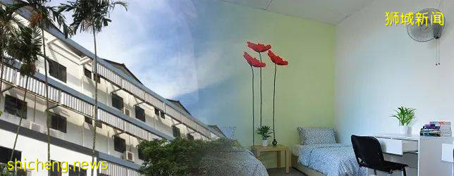 新加坡留學保姆級攻略,你一定要收藏好