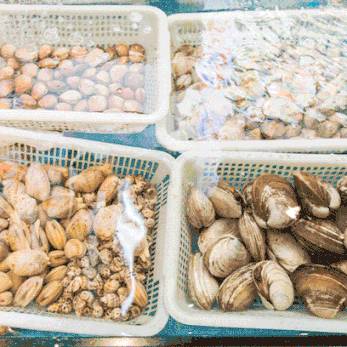 春節將至，新加坡有哪些地方可以置辦年貨？一起來看看吧