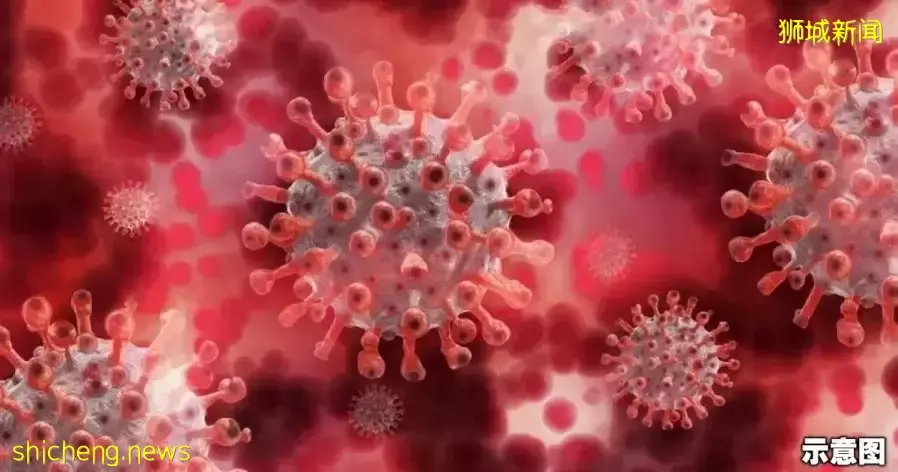 狮城两起Omicron新亚变异株病例　专家：传染性更高