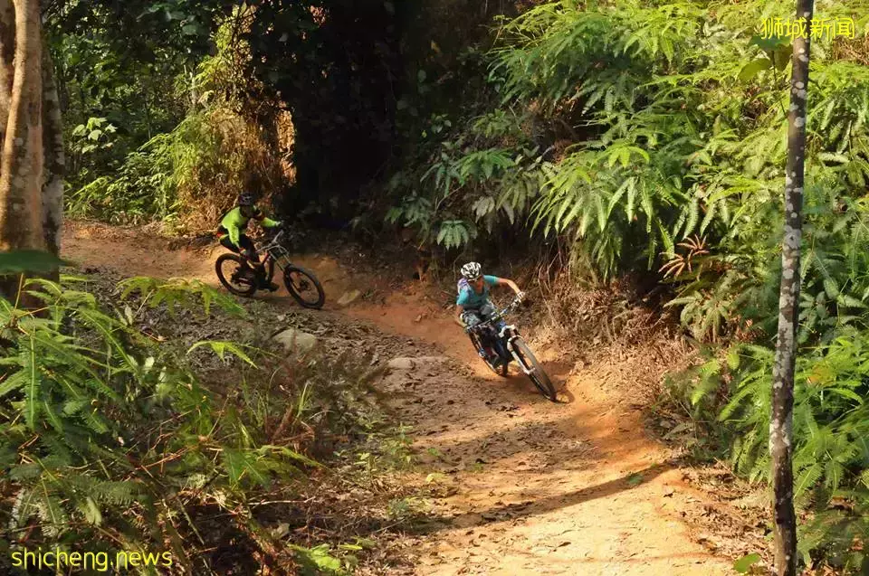 甩肉去！新加坡最美9条骑行路线