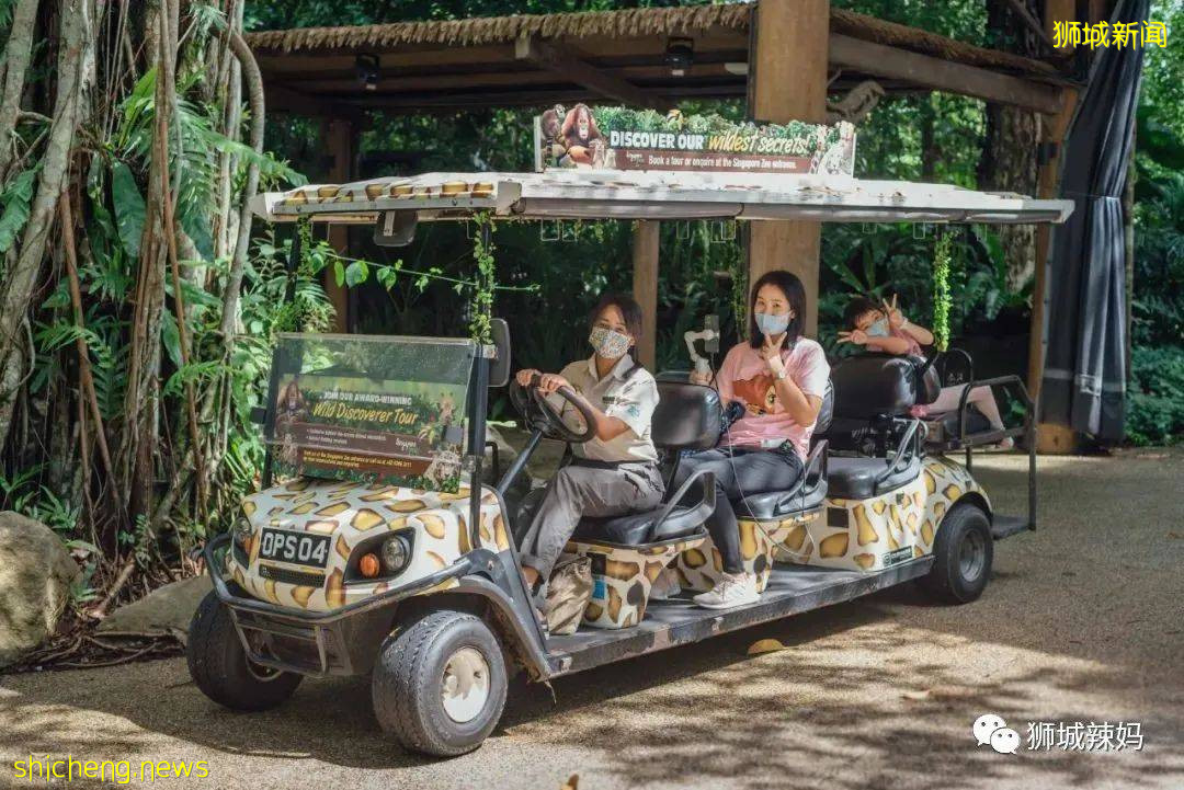 僅2天！新加坡動物園最牛的餵動物之旅，8折！還有幻光雨林和4大園5.5折起，搶啦