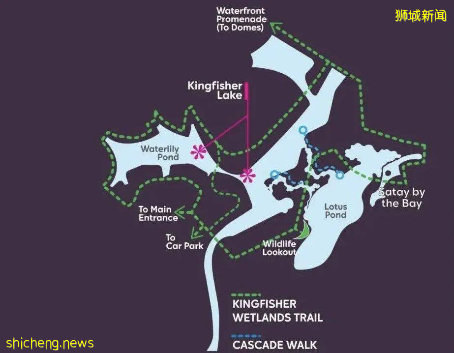 實拍!濱海灣花園新景點+聖淘沙首個“天空喜立”開放
