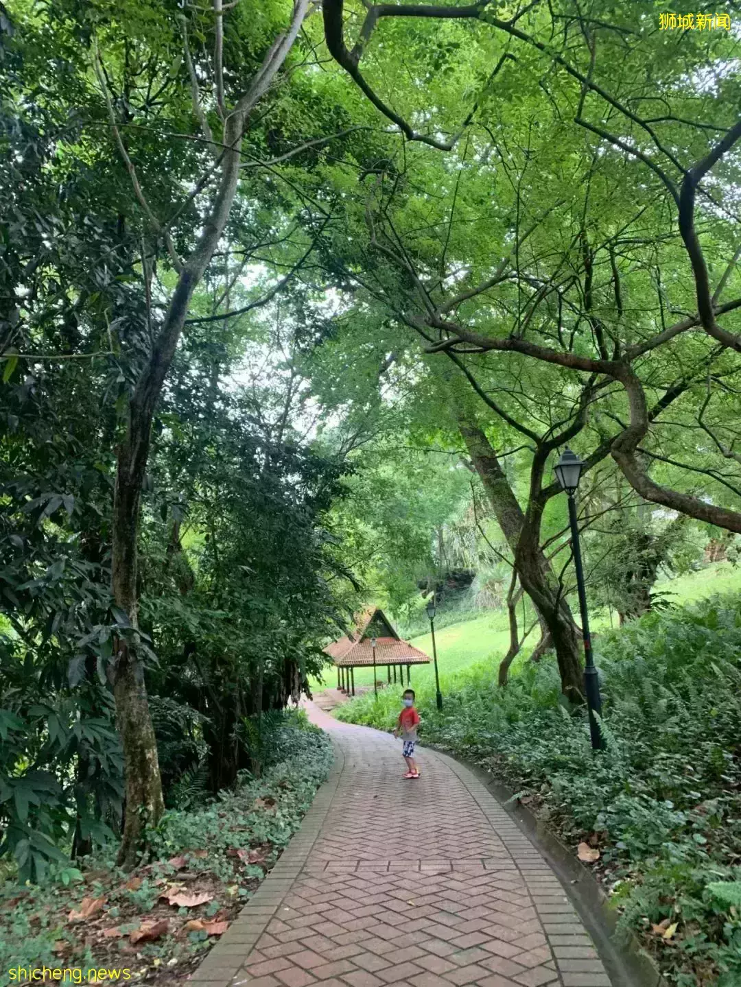 爲了國際化教育來新加坡!結果剛上學第二天就吃冰箱冷飯