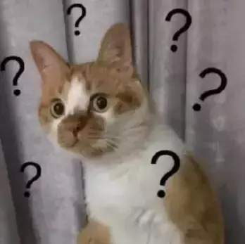 新加坡最具生活氣息的場所，你一定去過