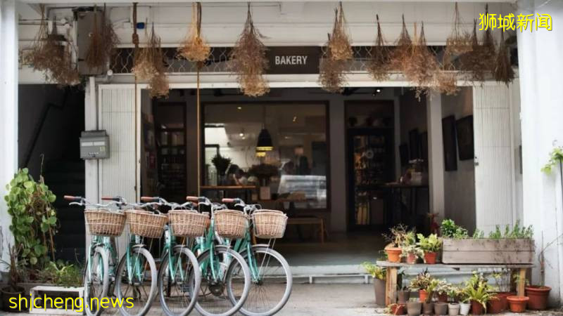 新加坡の十件趣闻,你知道吗