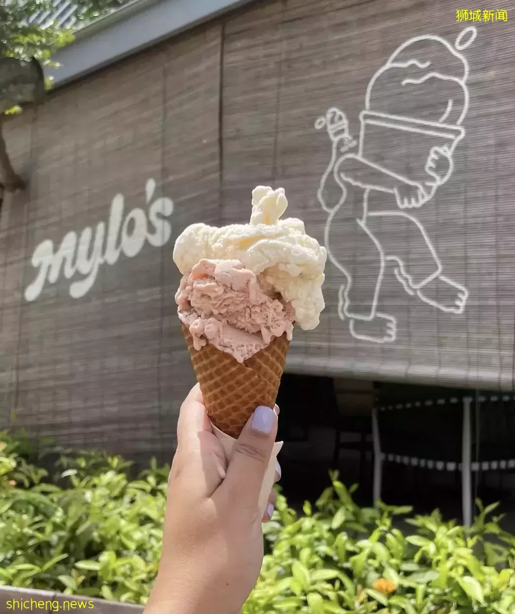 $3.8起,12家火遍全網的意式冰淇淋店,高顔值又好吃