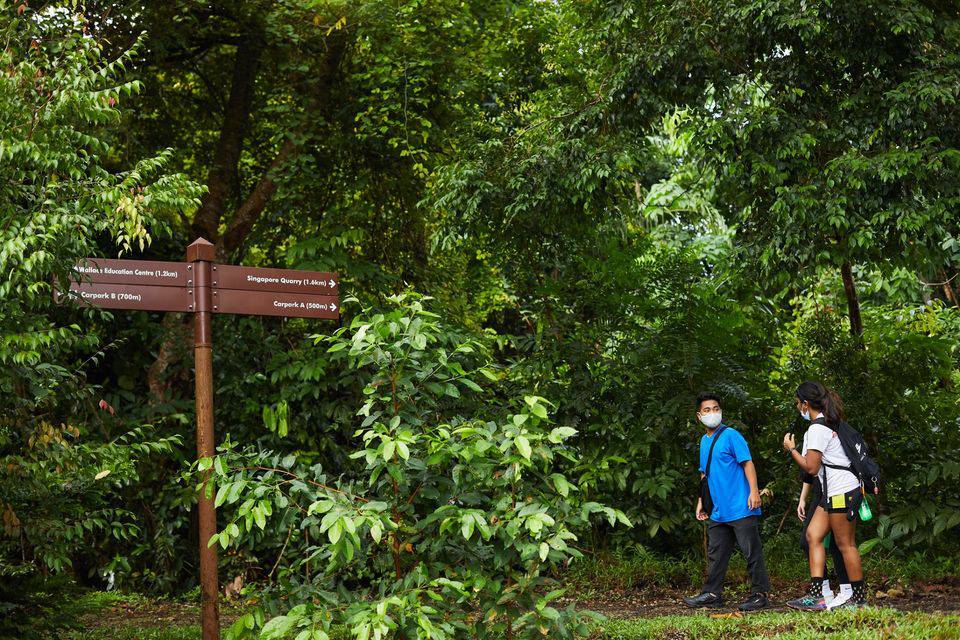 没有奶牛的奶牛公园,藏着100多年历史和700多种甲虫,新加坡宝藏公园推荐