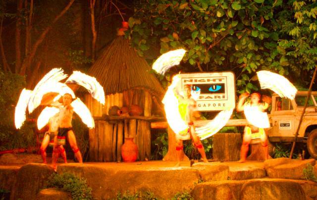 游玩指南 | 在新加坡最不能错过的景点——夜间动物园游园攻略