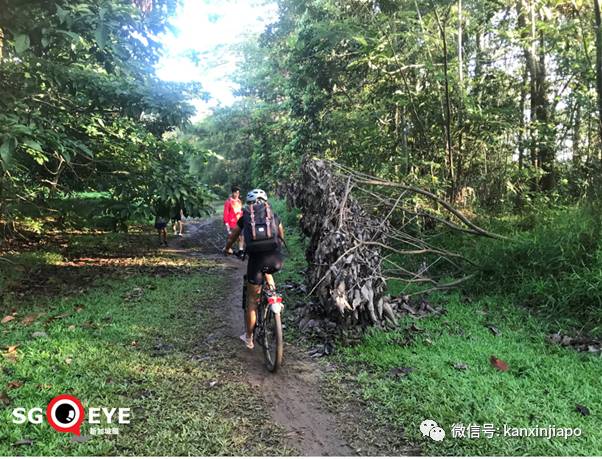 昨天小長假人山人海，武吉知馬老鐵路成新景點！前生今世大揭秘
