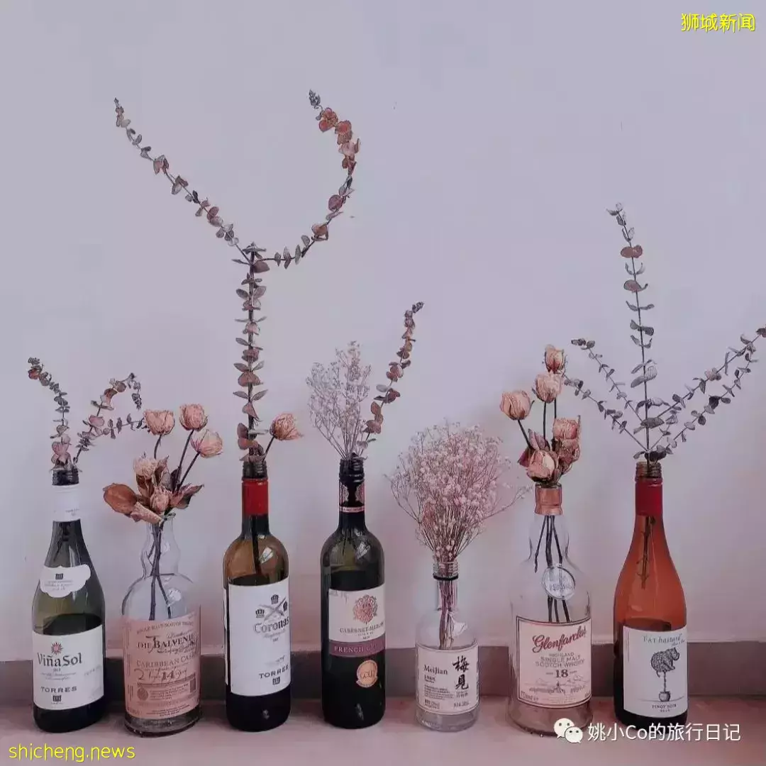 距离上次回国已经568天……在新加坡的你，过得还好吗