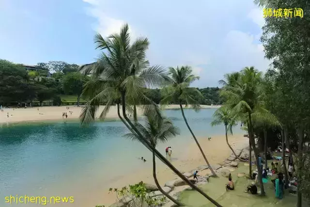 带你认识一个真实的新加坡,当地人的生活,让人很羡慕